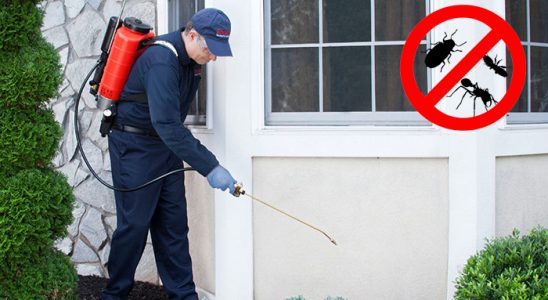 Muğla Hamam Böceği İlaçlama böcek ilaçlama ve haşere kontrolü — ilaclama-tr.com